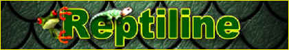 Tienda Reptiles Online