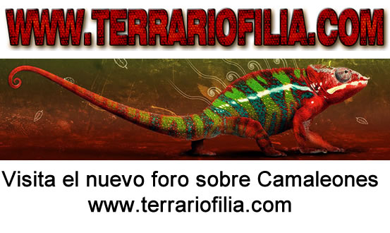 Foro de Camaleones